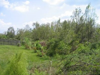 Crescent Lakes is set in a beautifully wooded area, overlooking the Disney Wilderness Preserve.